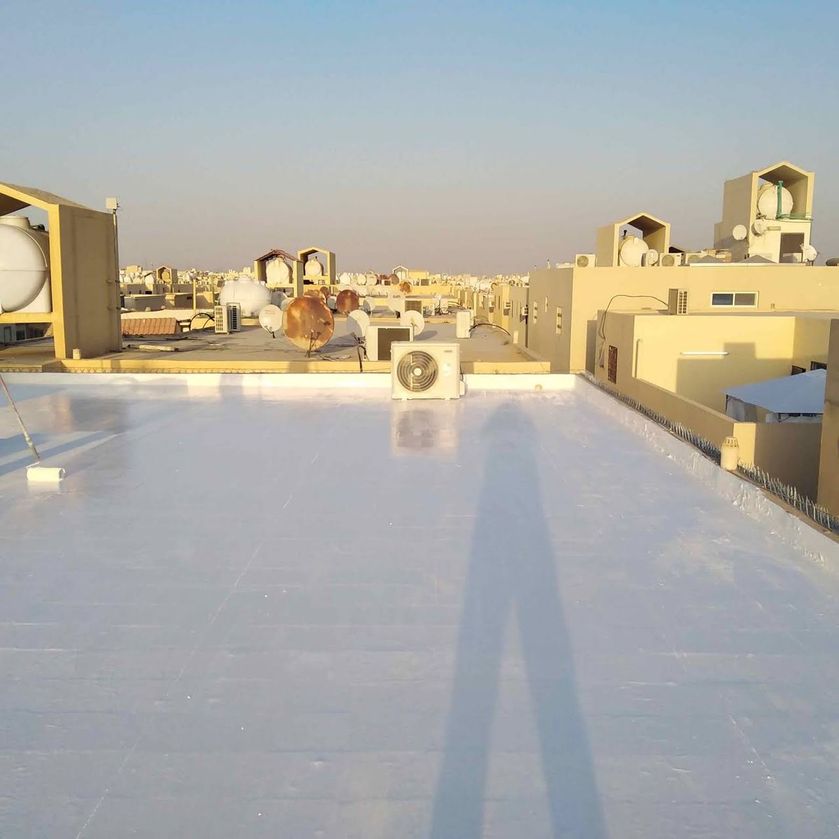 e747ff2bba25f5c37cbbb4bfcec56091